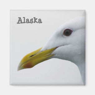 Magnet de goéland de l'Alaska