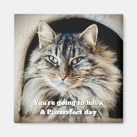 Magnet de jour parfait