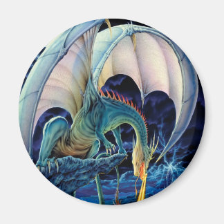 Magnet de la chaussure de dragon