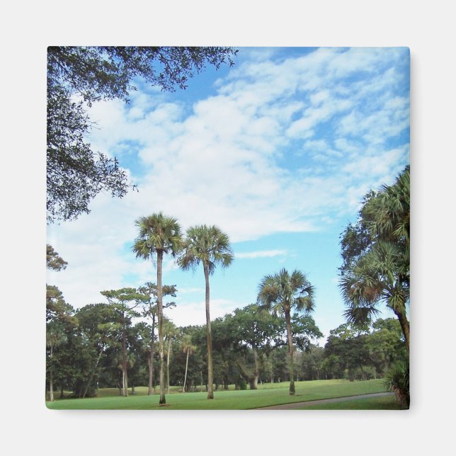 Magnet de l'île de Kiawah (Devant)