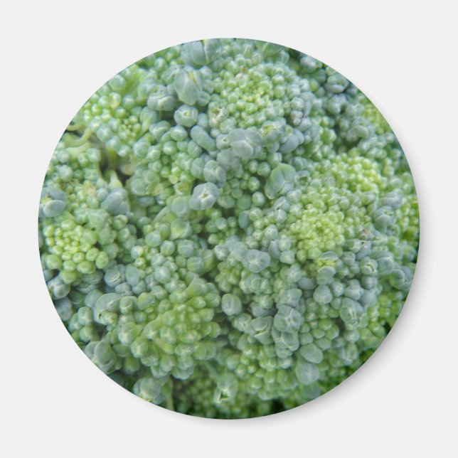 Magnet de macro Broccoli (Devant)