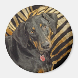 Magnet de marionnettes à livre de Doberman