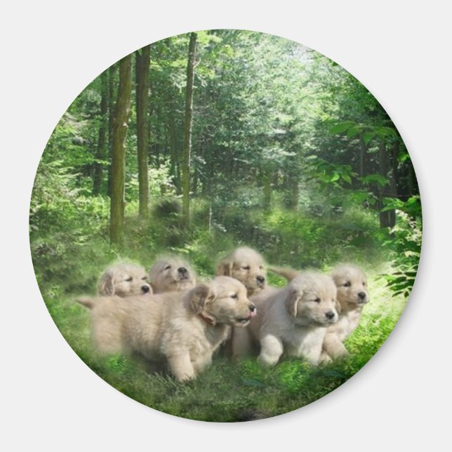 Magnet de marionnettes d'or (Devant)