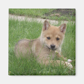 Magnet de marionnettes mignon