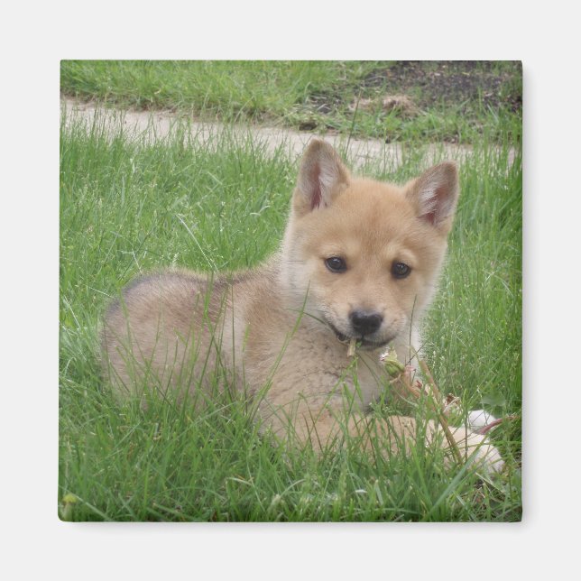 Magnet de marionnettes mignon (Devant)