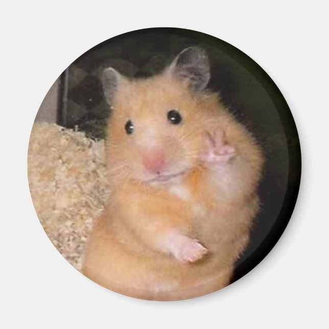 Magnet de mème de hameçon de paix (Devant)