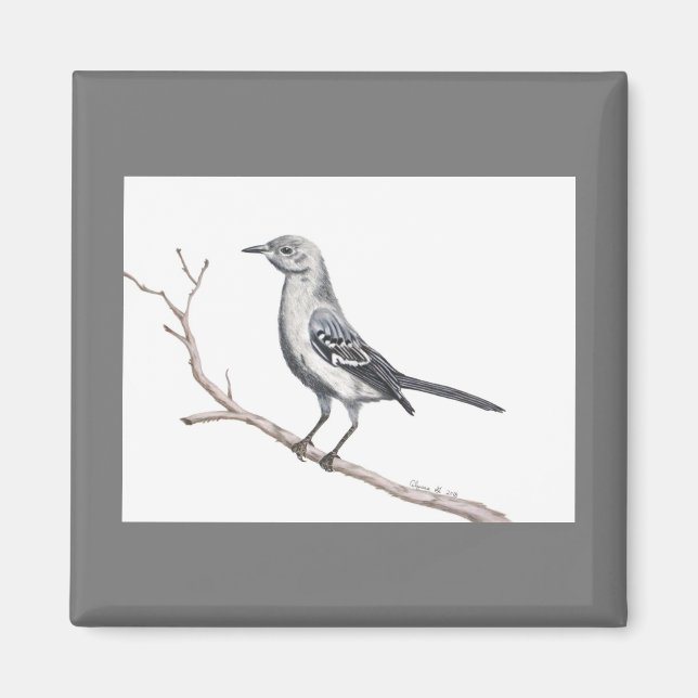 Magnet de Mockingbird du Texas (Devant)