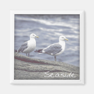 Magnet de mouettes de mer
