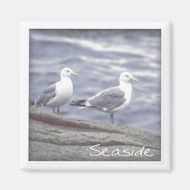 Magnet de mouettes de mer (Devant)