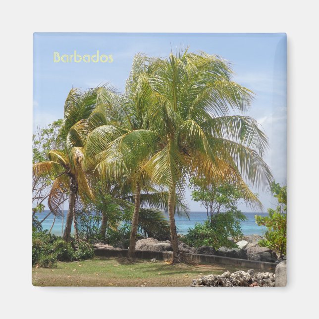 Magnet de palmiers à la Barbade (Devant)