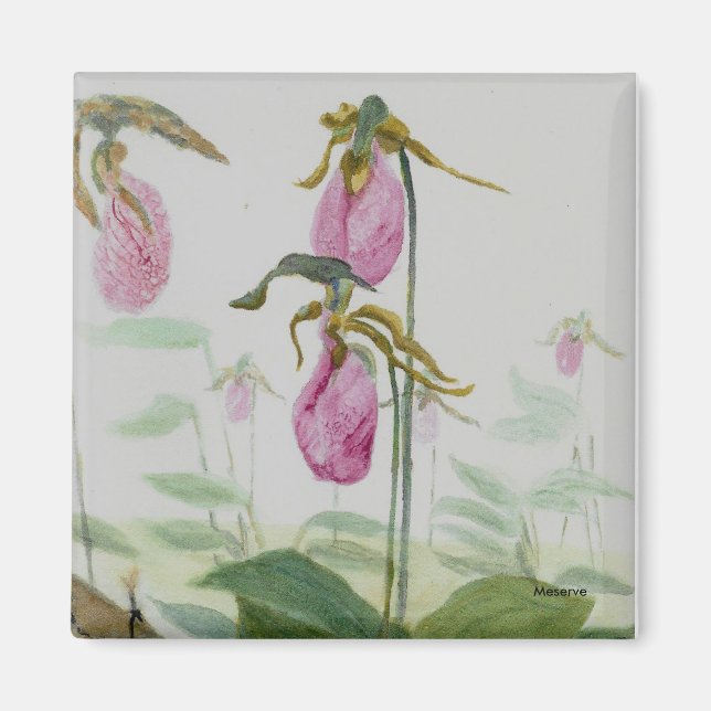 Magnet de palpettes Lady (Devant)