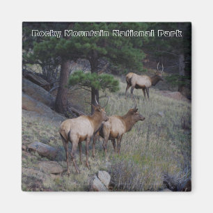 Magnet de parc national de montagne rocheuse