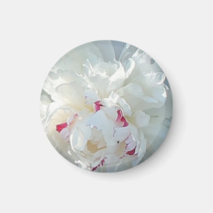 Magnet de pivoine romantique