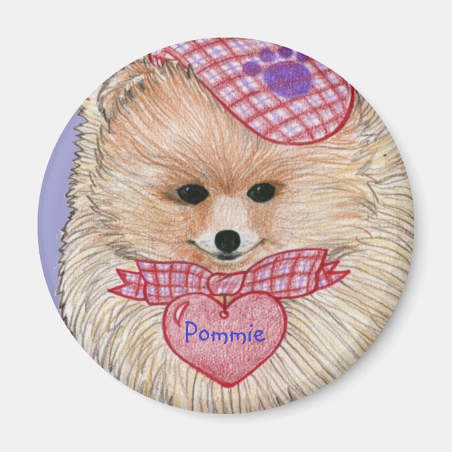 Magnet de Poméranie (Devant)