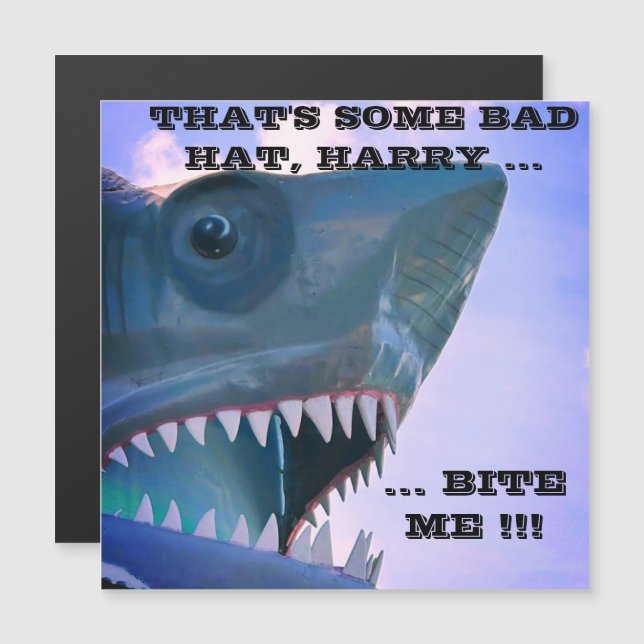 MAGNET DE PORTE DE CROISIÈRE À REQUINS (Devant / Derrière)