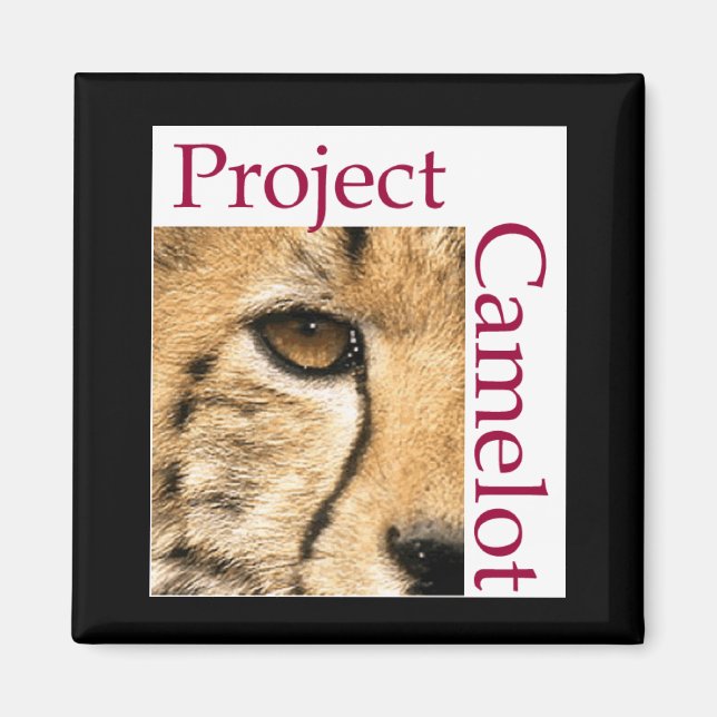 MAGNET DE RÉFLEXION DU CAMELOTE DU PROJET (Devant)