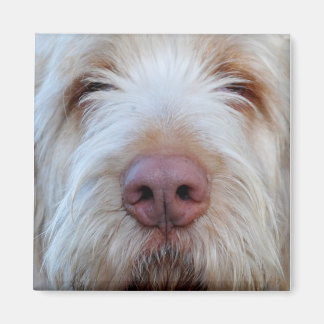 Magnet de réfrigérateur Booper de Luigi