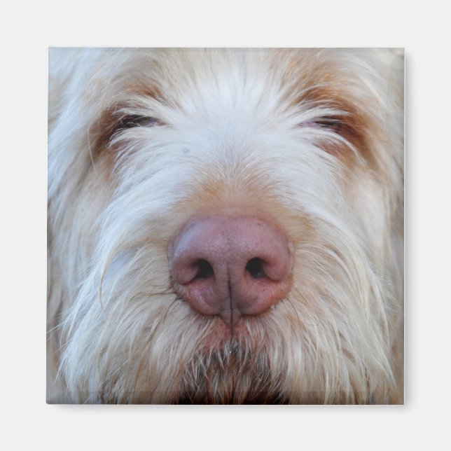 Magnet de réfrigérateur Booper de Luigi (Devant)