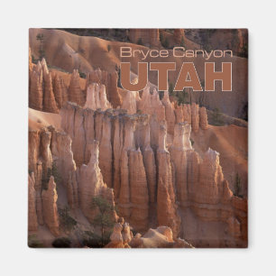 Magnet de réfrigérateur de souvenir de l'Utah de