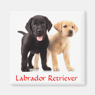 Magnet de réfrigérateur pour marionnettes de Labra