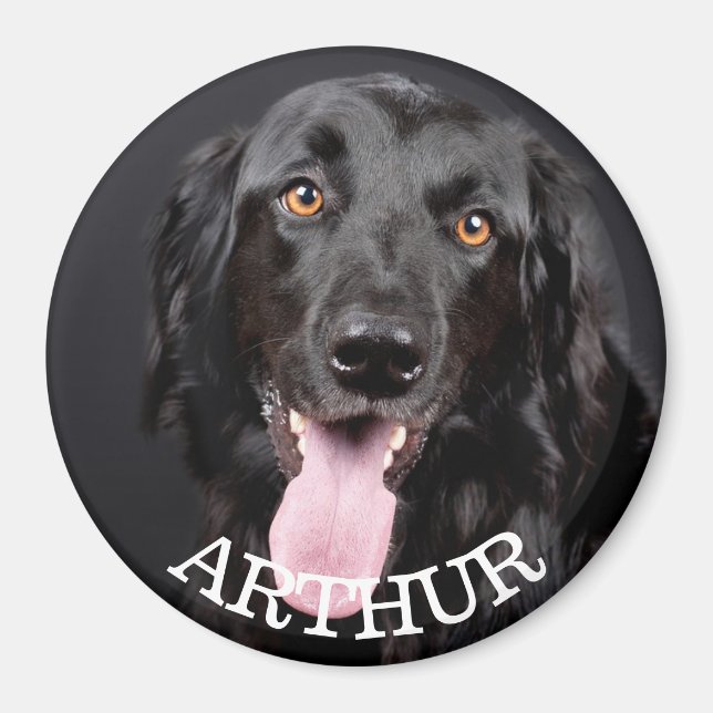 Magnet de réfrigération photo de chien personnalis (Devant)
