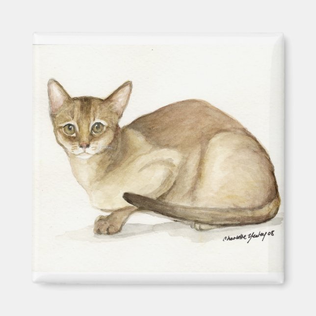 Magnet de reproduction artistique "Chat Abyssinien (Devant)