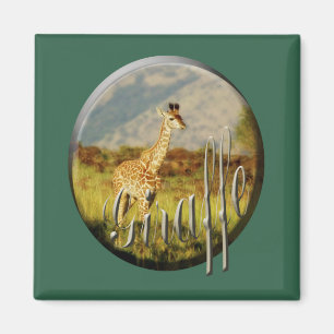 Magnet de safari de faune de bébé de girafe