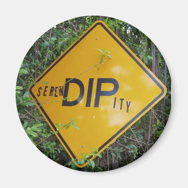 Magnet de séréndipité (Devant)