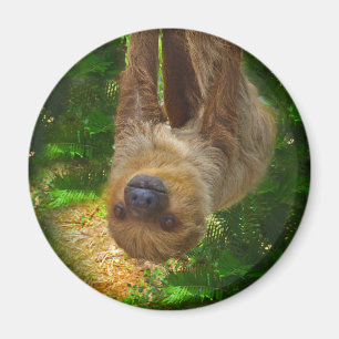 Magnet de Sloth