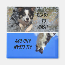 Magnet de statut du lave-vaisselle