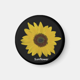 Magnet de tournesol