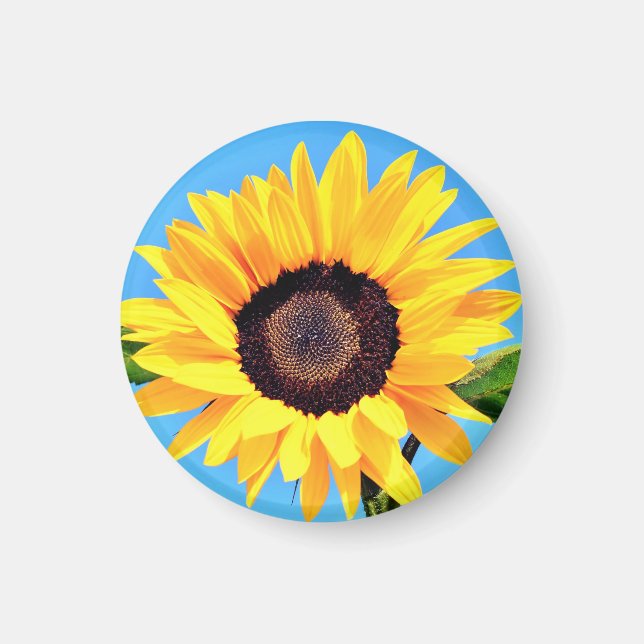 Magnet de tournesol (Devant)