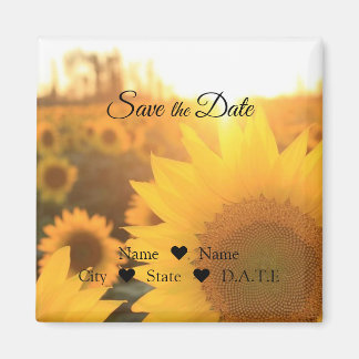 Magnet de tournesol