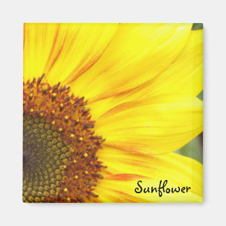 Magnet de tournesol