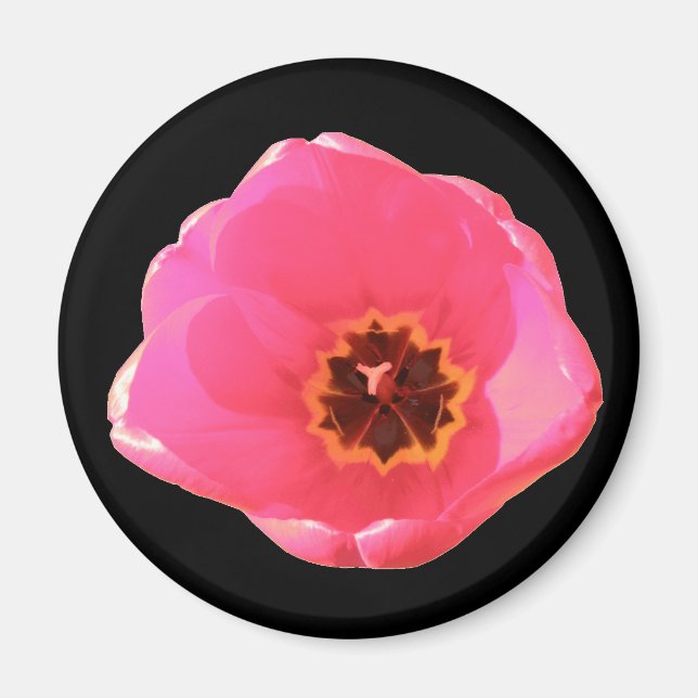 Magnet de tulipe rose (Devant)