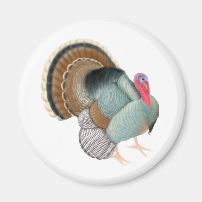 Magnet de Turquie sauvage (Devant)