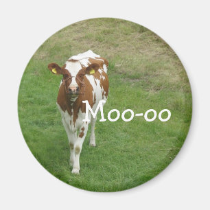 Magnet de vache