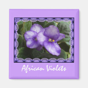 Magnet de violettes africaines