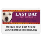 Magnet de voiture LDDR