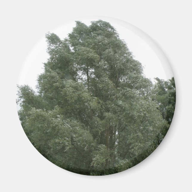 Magnet des arbres (Devant)