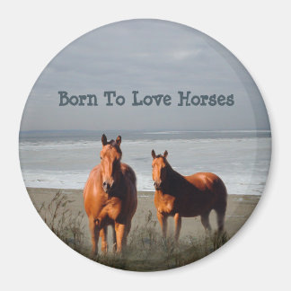 Magnet des Chevaux de plage