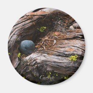 Magnet des courants
