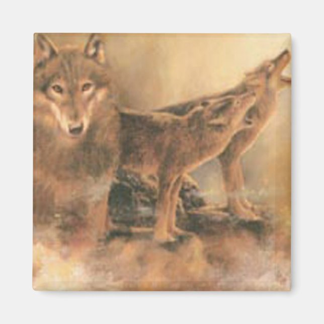 Magnet des loups sauvages (Devant)