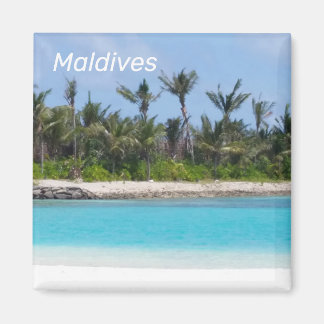 Magnet des Maldives