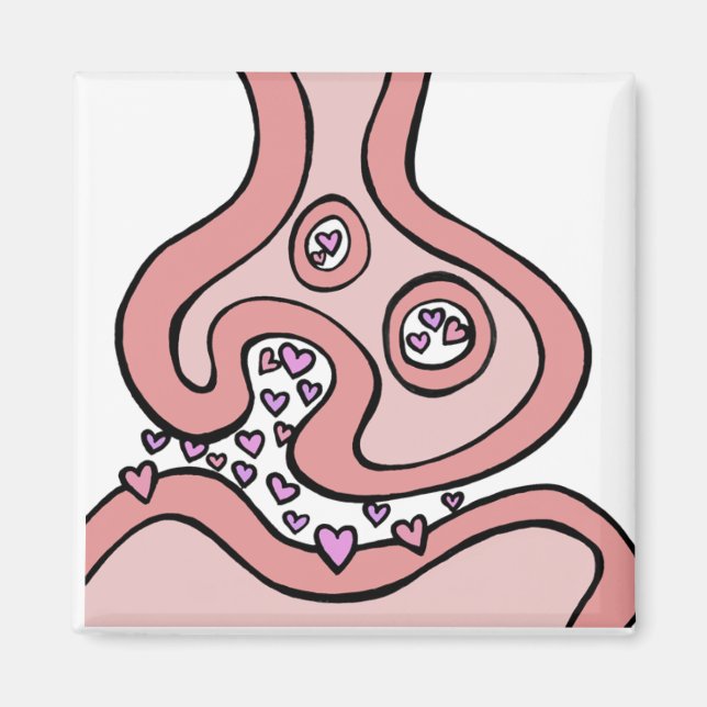 Magnet des neurotransmetteurs cardiaques (Devant)