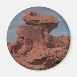 Magnet des parcs d'État