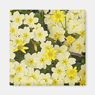 Magnet des Primroses du printemps