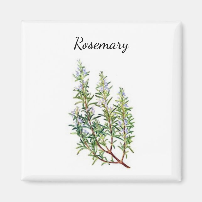 Magnet d'herbes romarines (Devant)