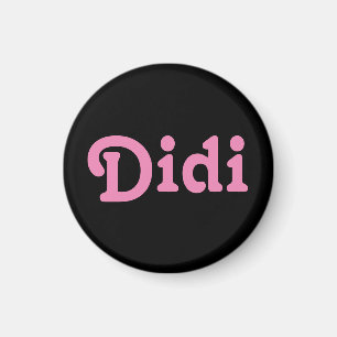 Magnet Didi