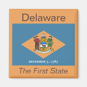 Magnet d'indicateur du Delaware
